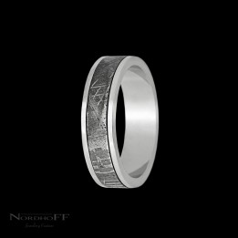 Platinum and Meteorite Wedding Ring